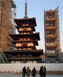 薬師寺の東塔・国宝の美しい全景写真が撮れるのは、
12月26日までである。この機会を逃すと、7年後に
なる。(撮影:穂高健一、12月14日、奈良市) 
